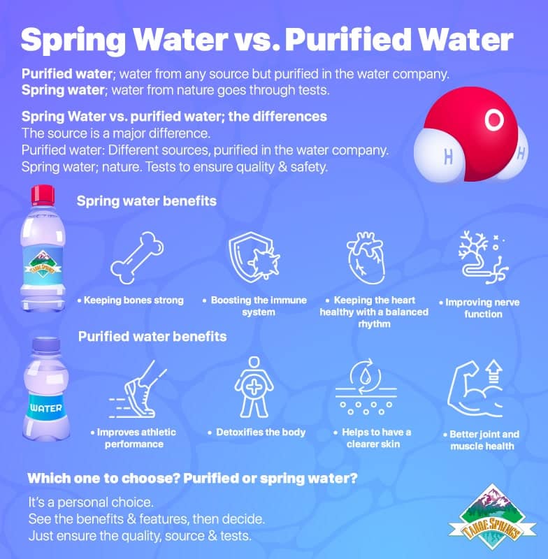 infographic Spring Water and Purified Water, Which One is Better for You