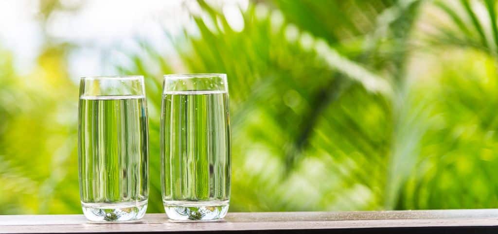 Spring, Purified, Alkaline, or Distilled Water Which Is Right for Your Las Vegas Home